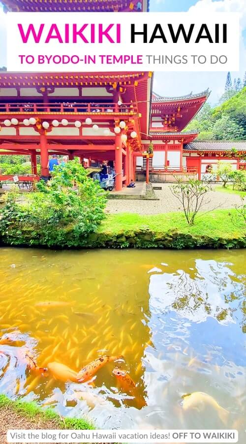 byodo in temple koi fish