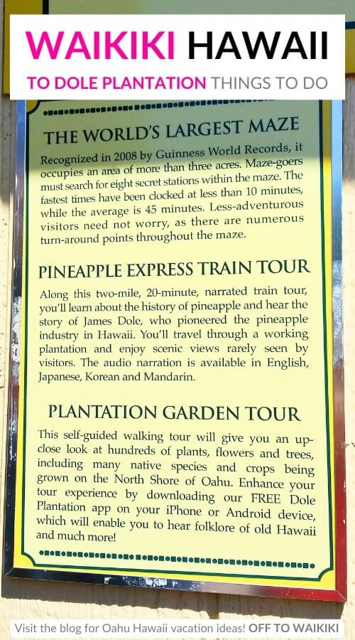 things to do at dole plantation from waikiki