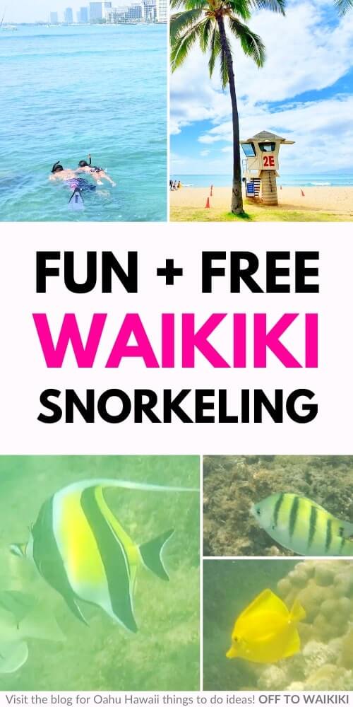 best snorkeling in waikiki: queens beach snorkeling