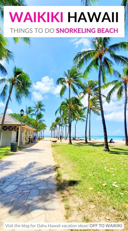 how to get to queens beach snorkeling spot in waikiki
