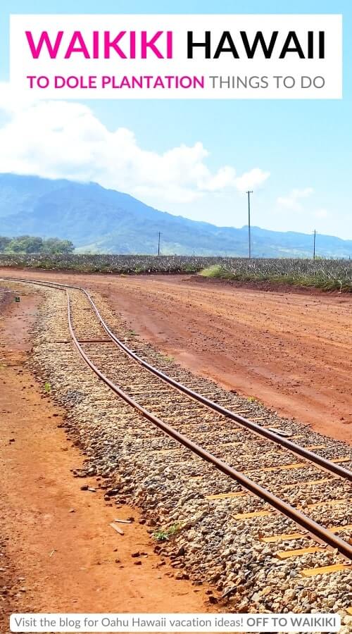 pineapple field train ride at dole plantation