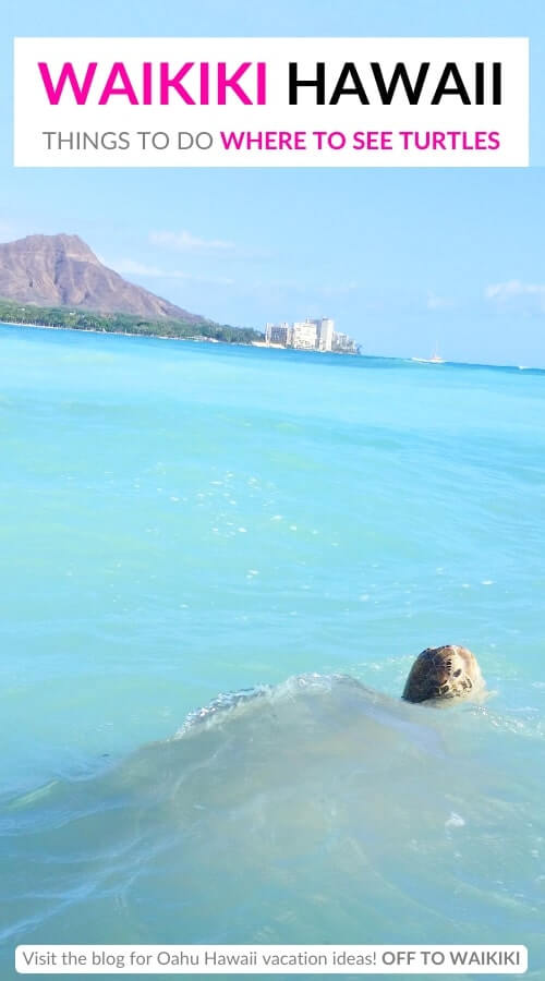waikiki beach swimming and snorkeling spots to see turtles in waikiki