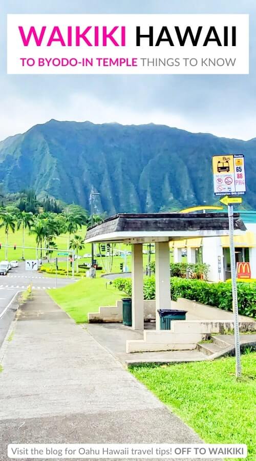 waikiki to byodo-in temple bus stop