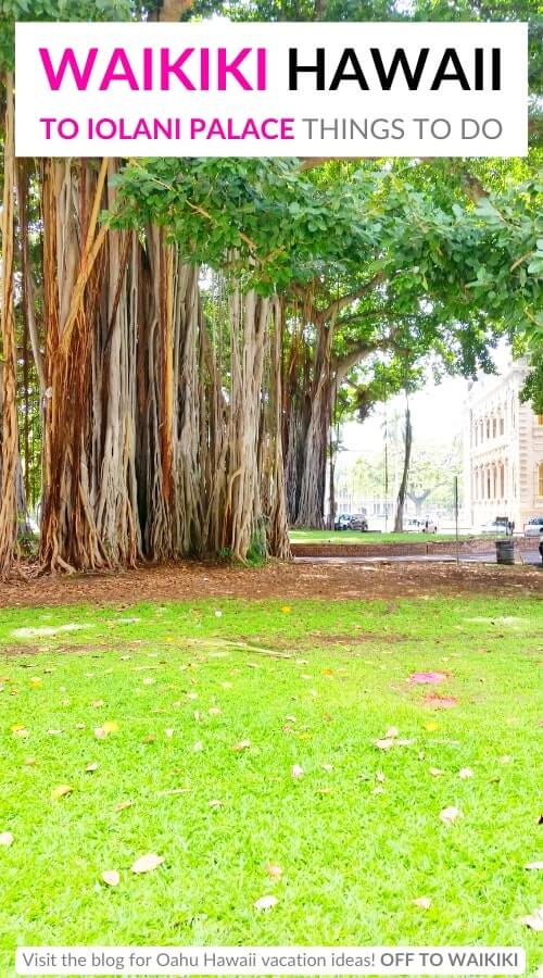 iolani palace banyan tree in downtown honolulu
