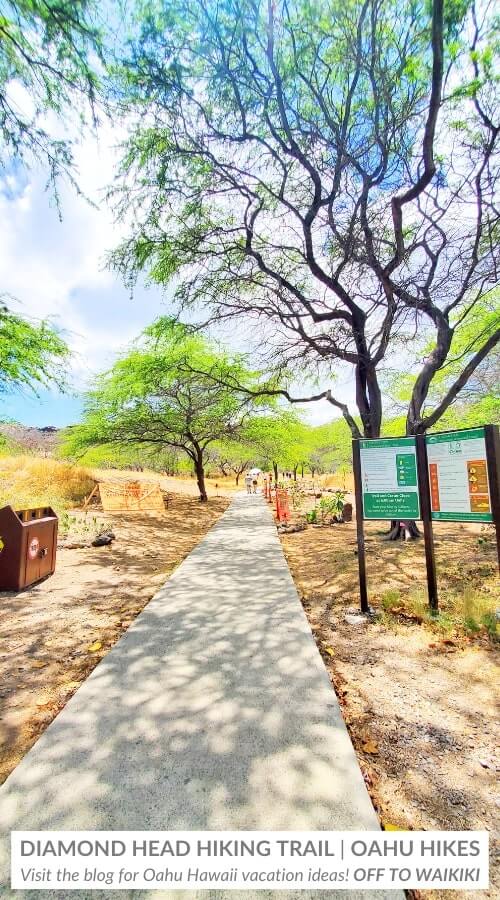 diamond head hike easy trail