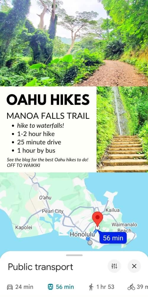 manoa falls without a car. best oahu waterfall hikes by bus. oahu rainforest hiking