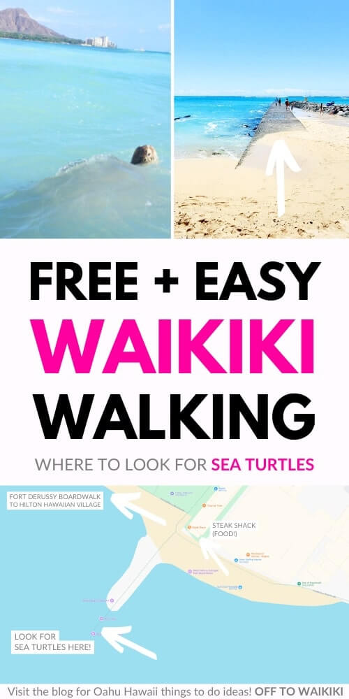 where to see turtles in waikiki for free