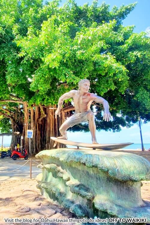 banyan tree at surfer on a wave statue