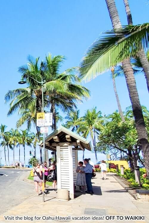 bus stop in waikiki to hanauma bay