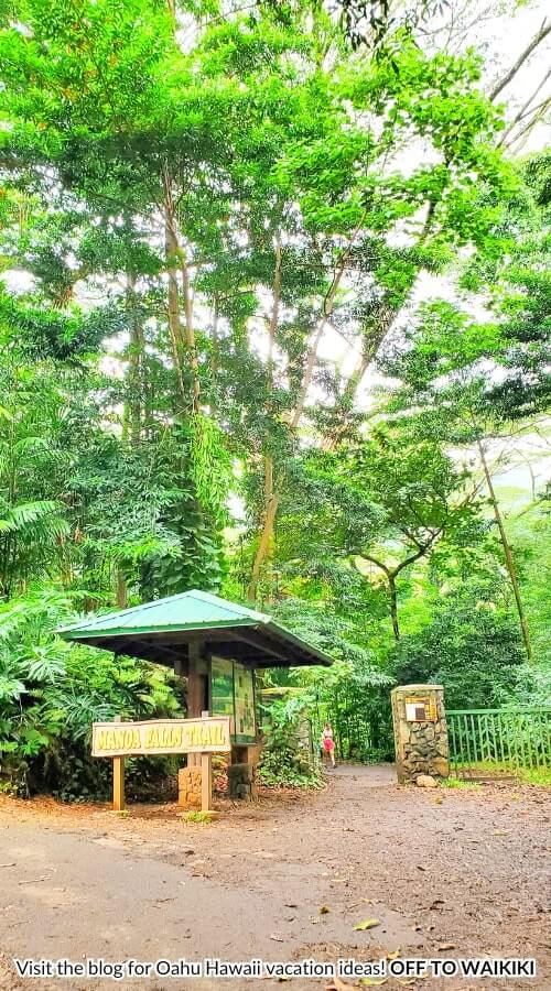 getting to manoa falls trailhead without a car