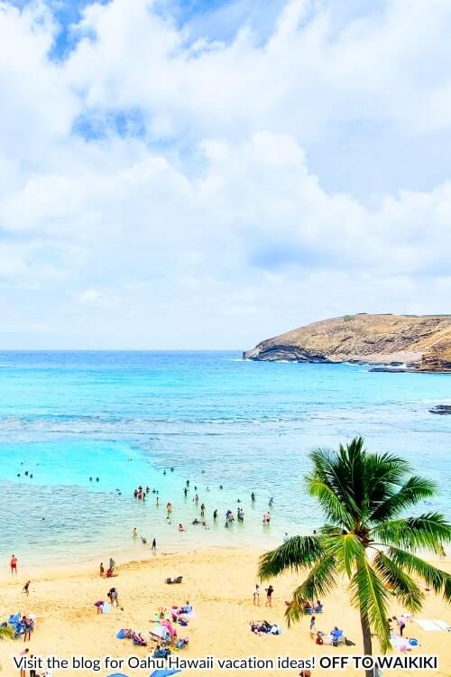 how to get to hanauma bay beach without a car