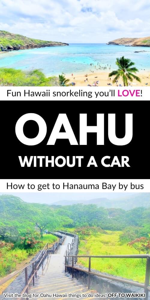 how to get to hanauma bay by bus. waikiki to hanauma bay without a car