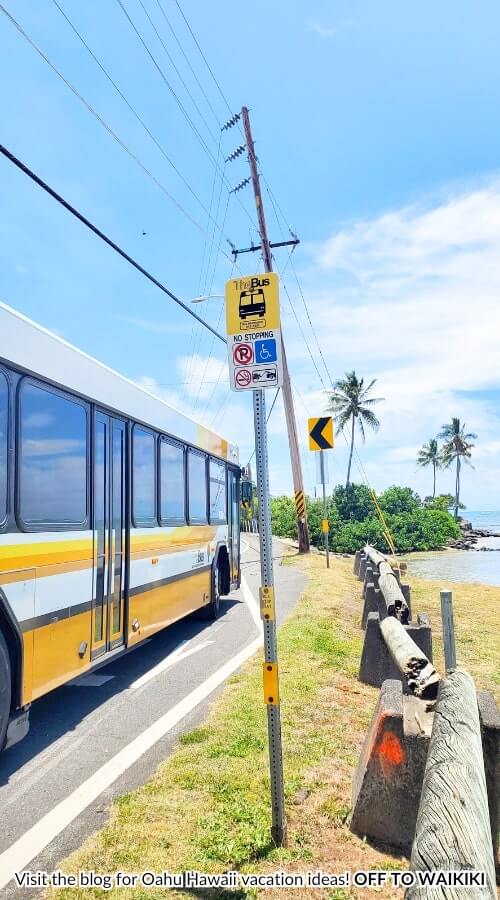 bus to kualoa beach and kualoa regional park