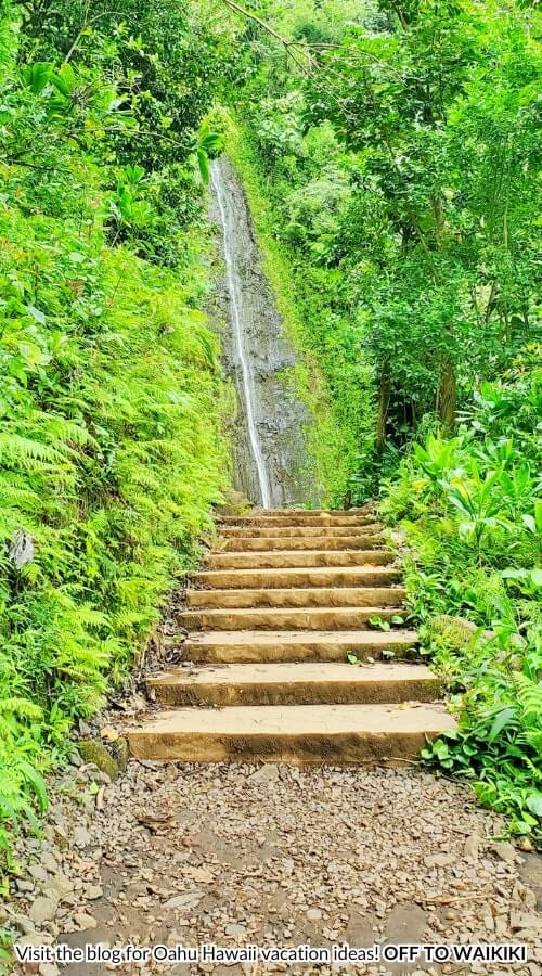manoa falls. oahu waterfalls without a car