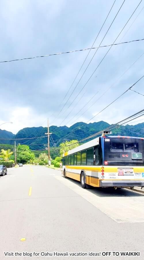 manoa valley bus 5 near manoa falls bus stop
