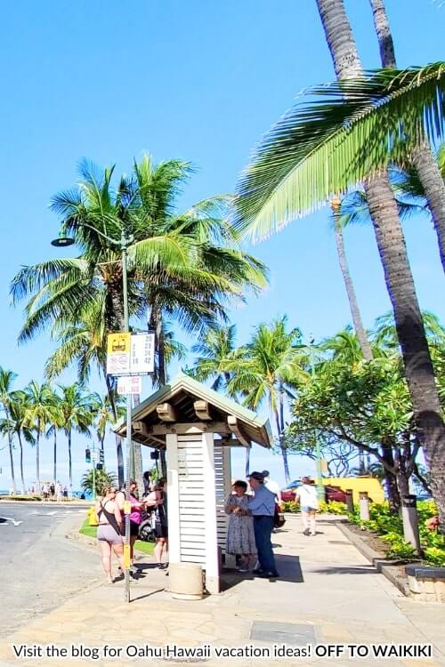 waikiki bus stop to koko head hike