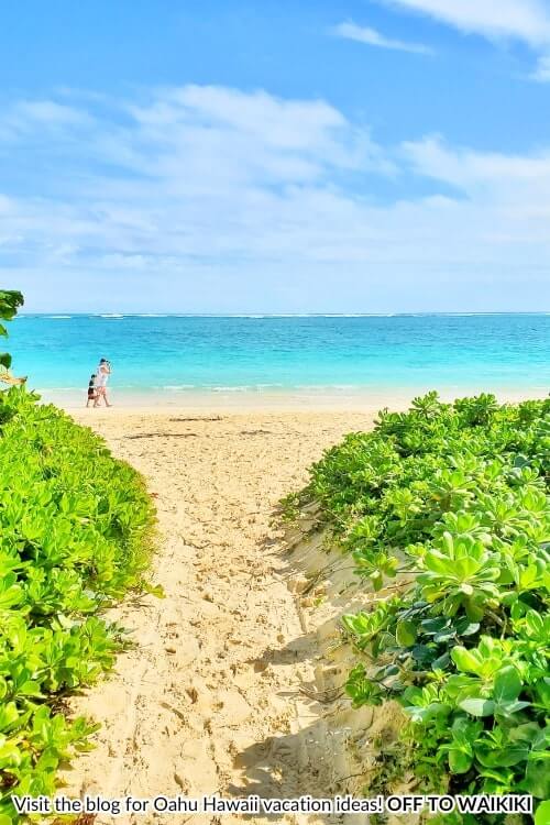 bus to lanikai beach
