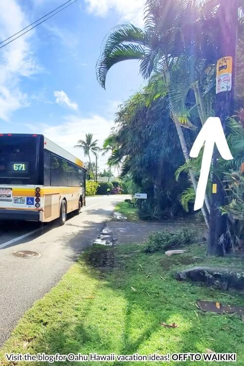 bus stop near lanikai beach