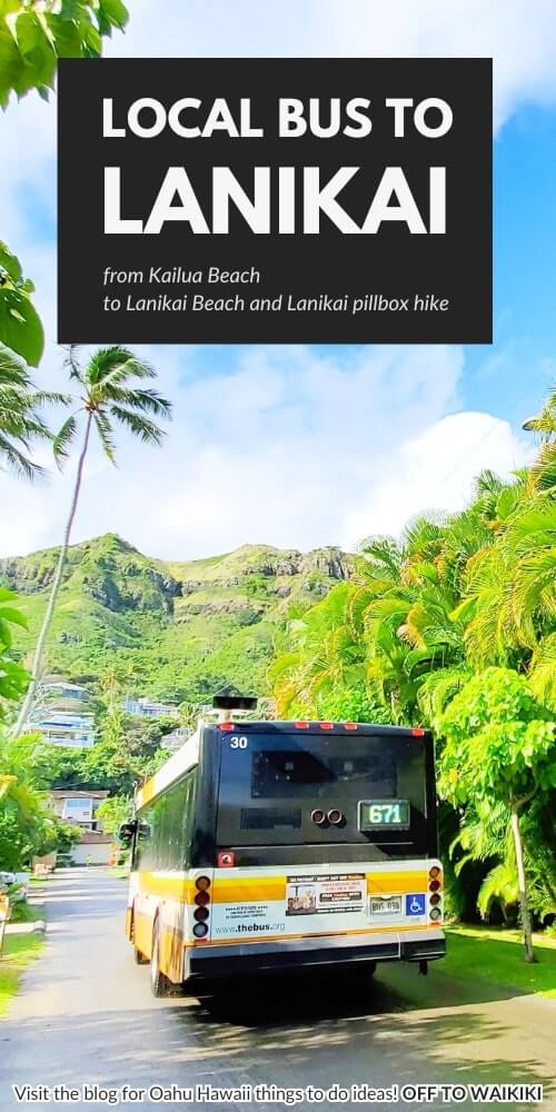 how to take local bus to lanikai beach and lanikai pillbox hike