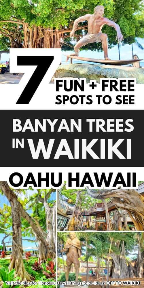 where to see banyan trees in waikiki hawaii. oahu banyan tree