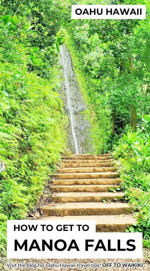 hiking to manoa falls