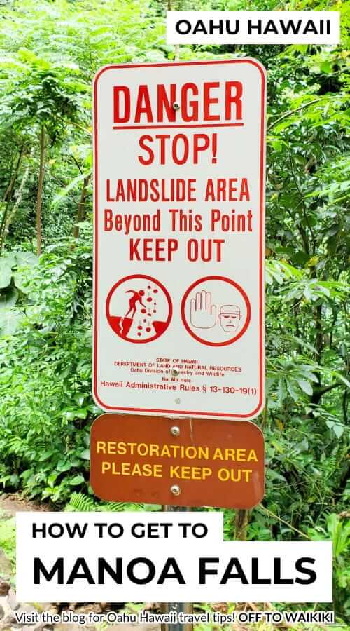 manoa falls trail safe hiking