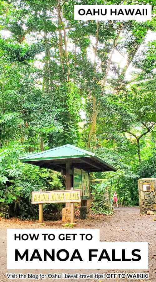 manoa falls trailhead from waikiki