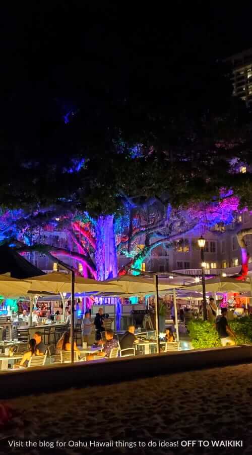 moana banyan tree at night in waikiki