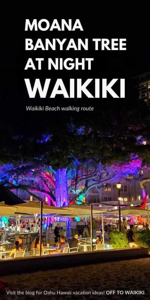 moana surfrider banyan tree illuminations lit up at night in waikiki